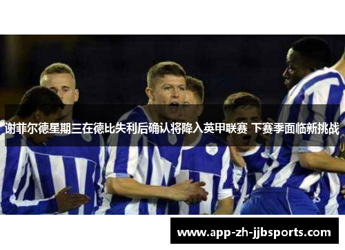 谢菲尔德星期三在德比失利后确认将降入英甲联赛 下赛季面临新挑战